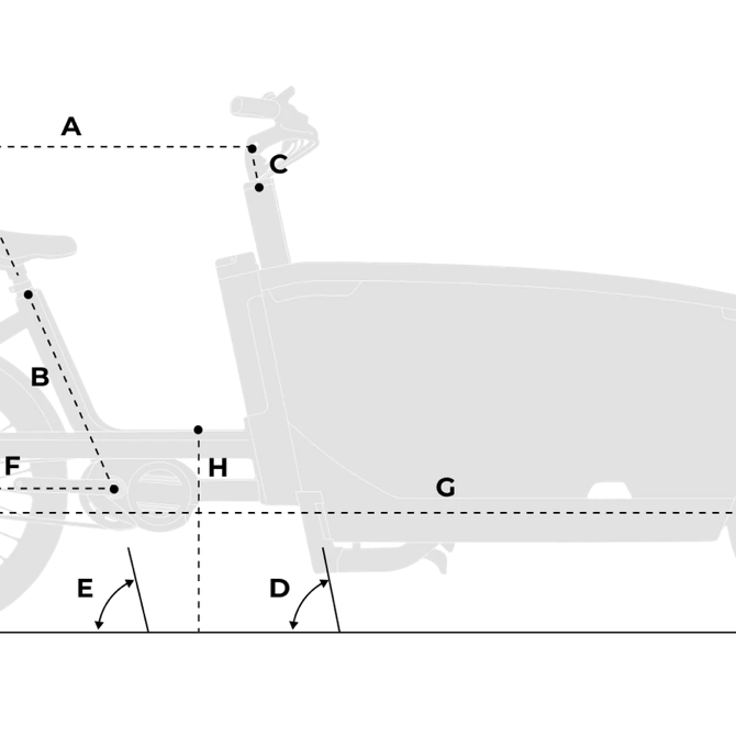 Geometri Cargo